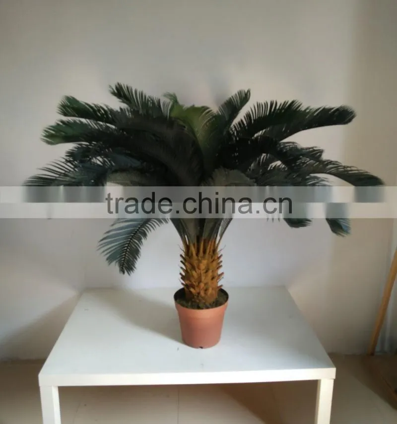 decorative sago cycas cycas revoluta artificial high simulation cycads plant