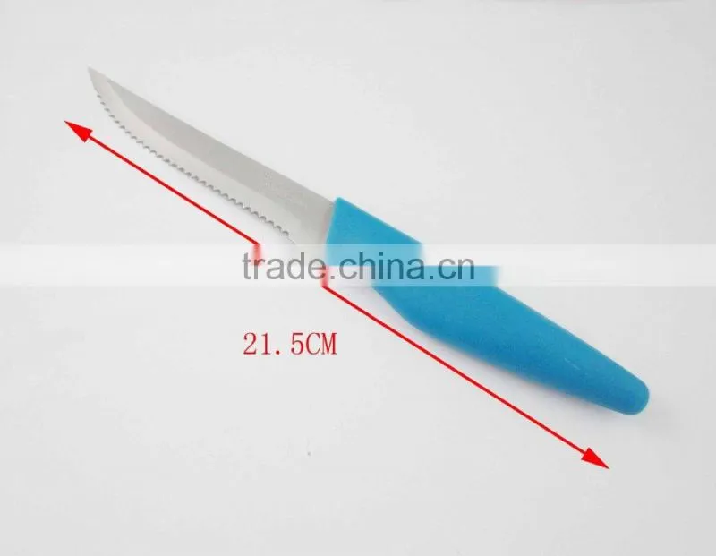 Food Safety Stainless Steel Steak Knife