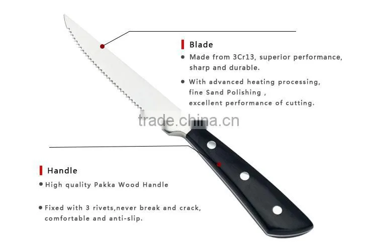 11pcs Kitchen Knife Set With 3CR13+Pakka Wood+Forged