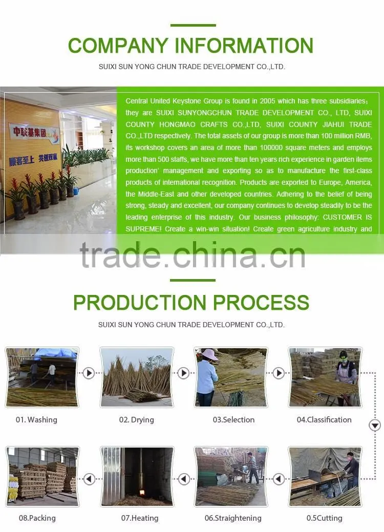 Cheap factory direct supply Agriculture garden PVC Coated pole and Color Bamboo Cane