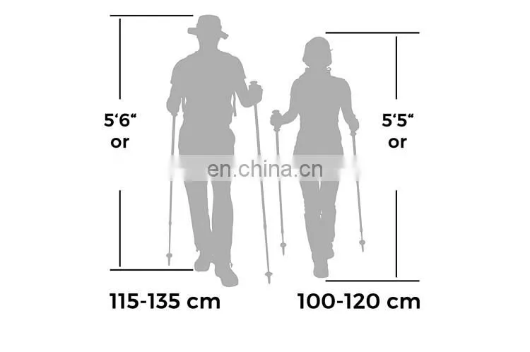 PandaBear 5 Sections Lightweight Carbon Fiber Folding walking stick