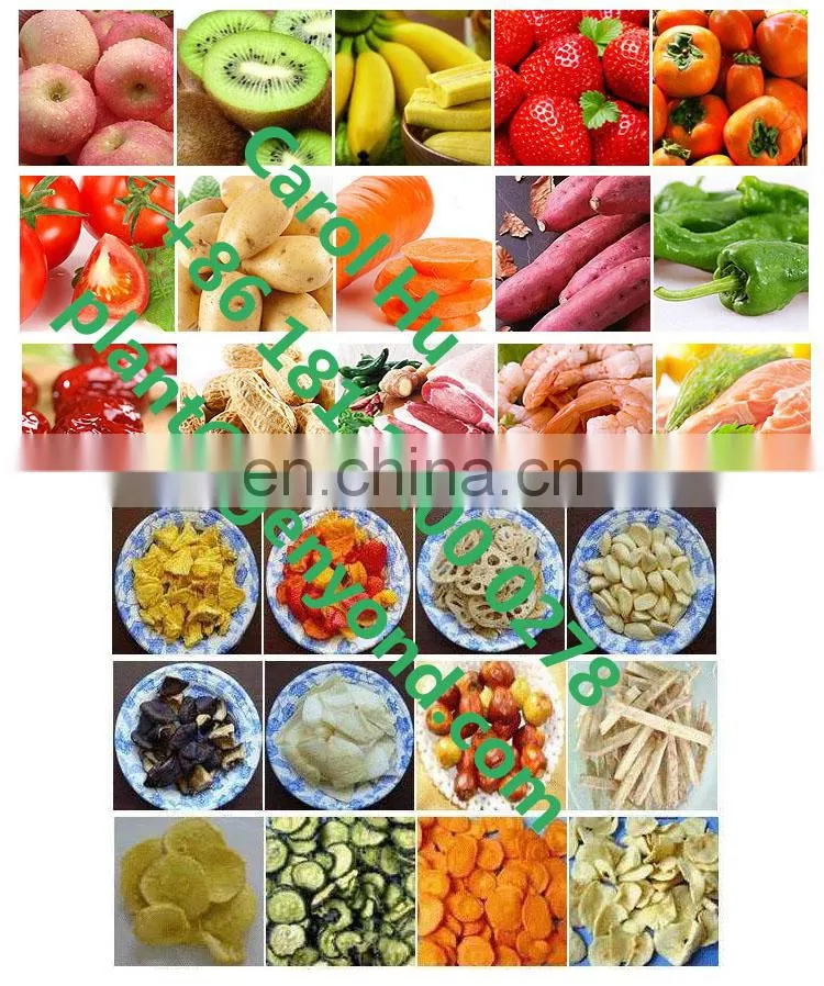 small vacuum deep fryer for fruit and vegetables