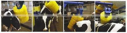 Cattle Body Massage Brush