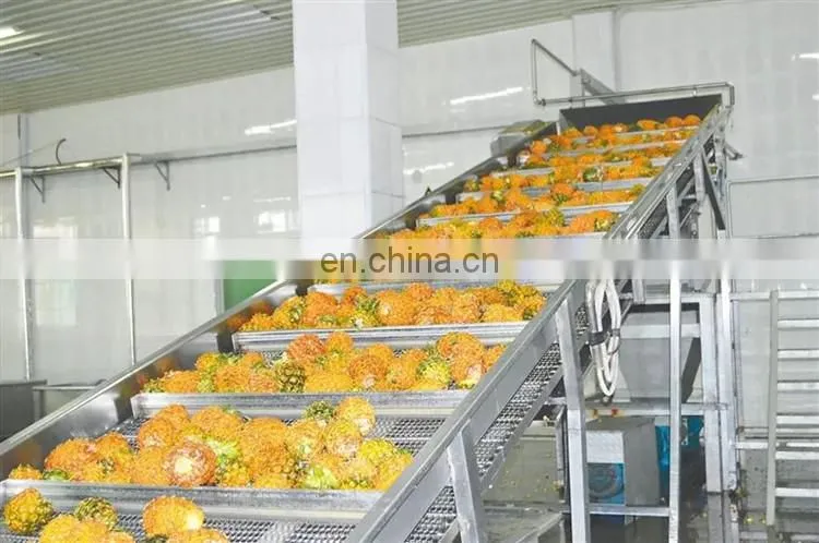 Hot sale fruit juice extractor/apple fruit juice making equipment/industrial apple juice press concentrate production line