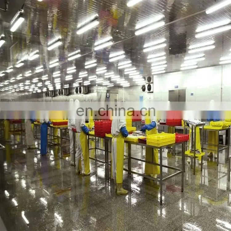 Manufacturer Supplier carp fish canning plant