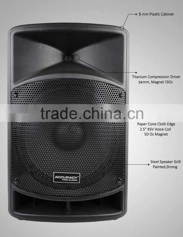 Professional Digital FM Radio Molded Loudspeaker Cabinet CSA15AMK-BT