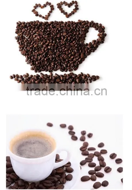 Italian type high quality shop use coffee grinder