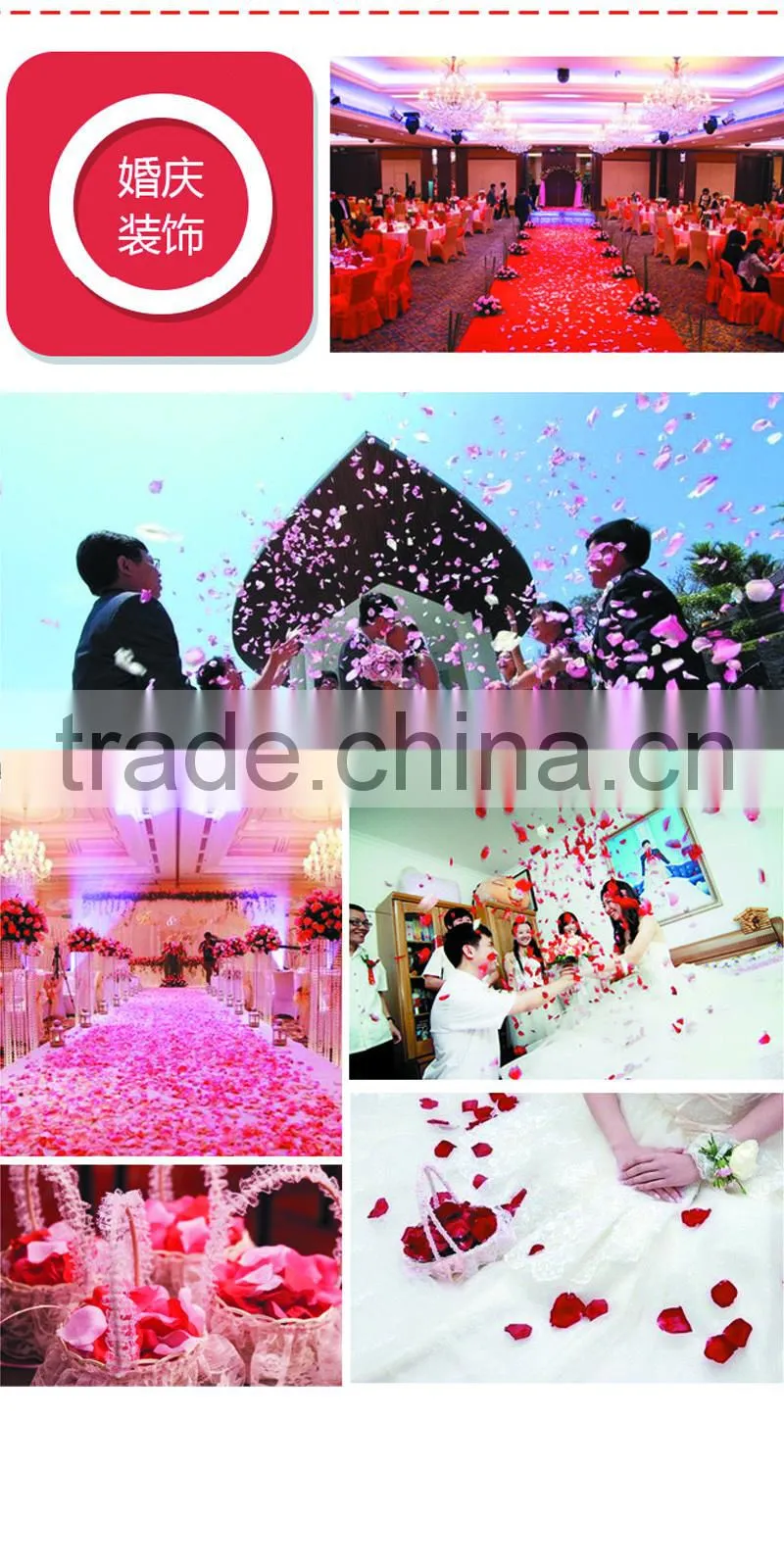 Hot selling china new coming dried flower tea bath tea spa flower tea wedding flower dried rose petals flower blossom
