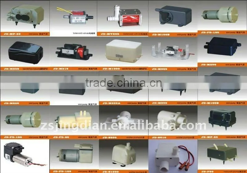 Ozone air pump