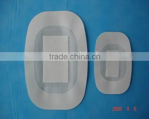 Transparent wound dressing with pad
