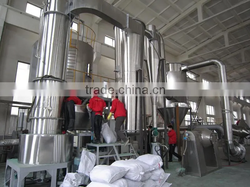 XSG Series Flsh Dryer
