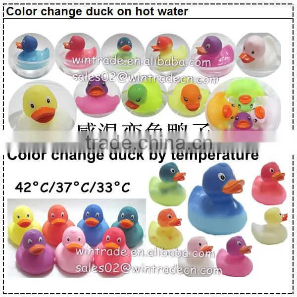 Blue rubber duck weighted for company promotion