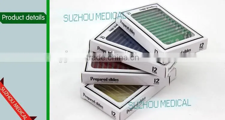 Plastic Prepared Slide Set of 12 for children microscope