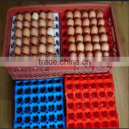 high quality 30 plastic injection egg tray