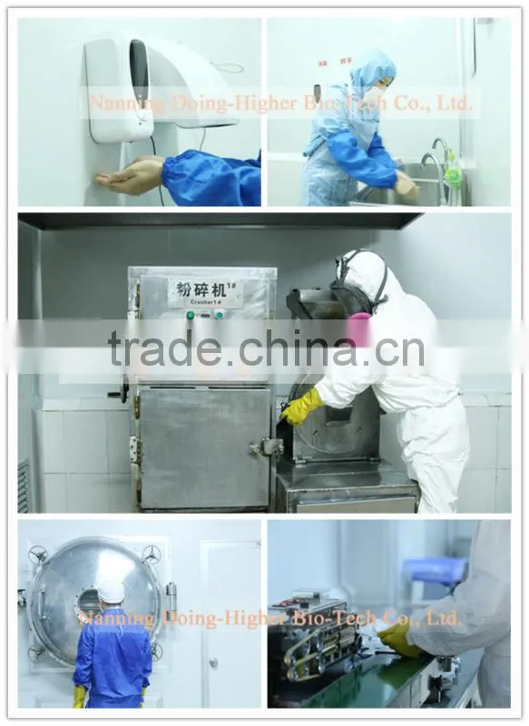 Doing-Higher enzyme product bromelain