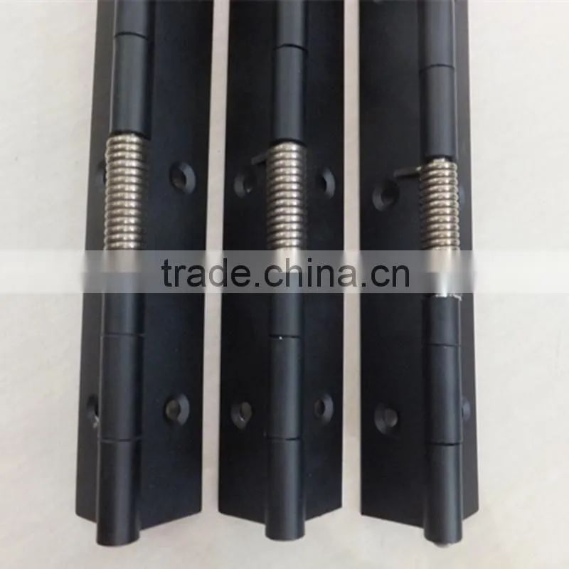SUS 304 piano hinge with spring,stainless steel piano hinge