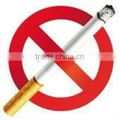 2013 Quitting Smoking Patch
