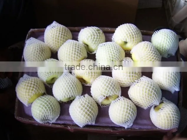 9KG Fresh Golden Pear 40-44 Size