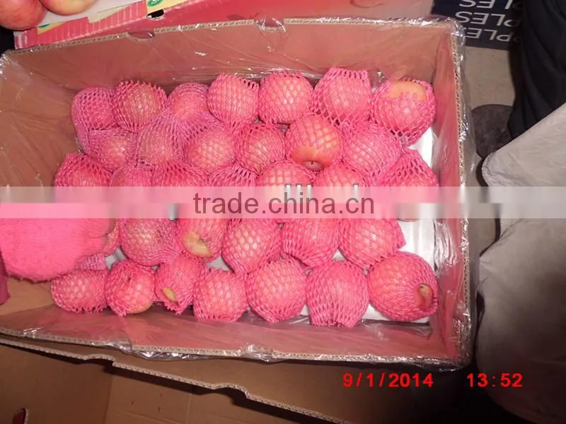 Wholesale Prices Fresh Apple Fruit / Red Fresh Apple