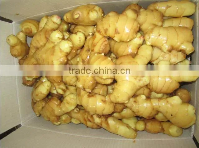 2015 new crop fresh ginger, air dry fresh ginger, chinese fresh ginger price