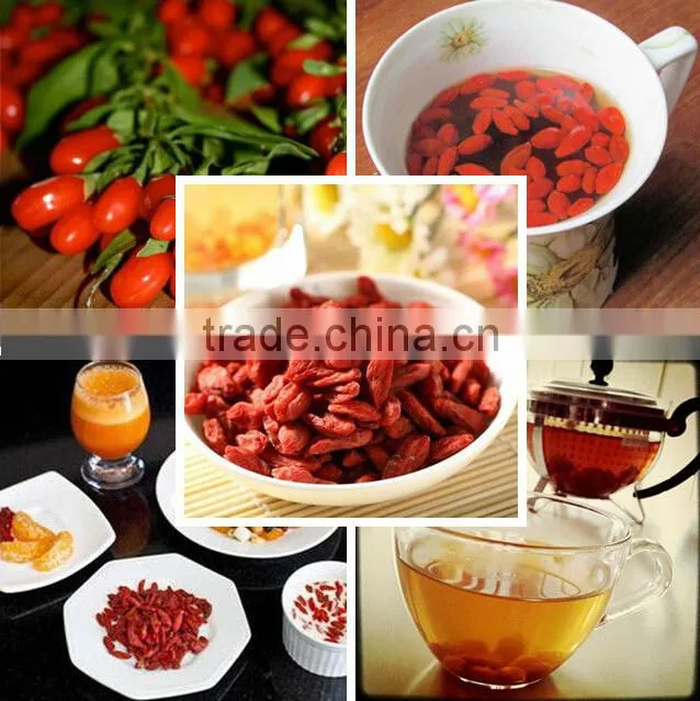 Bulk goji berries goji berry price