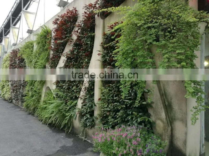 Vertical ornamental plants