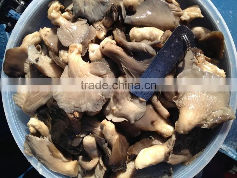 Pleurotus in brine