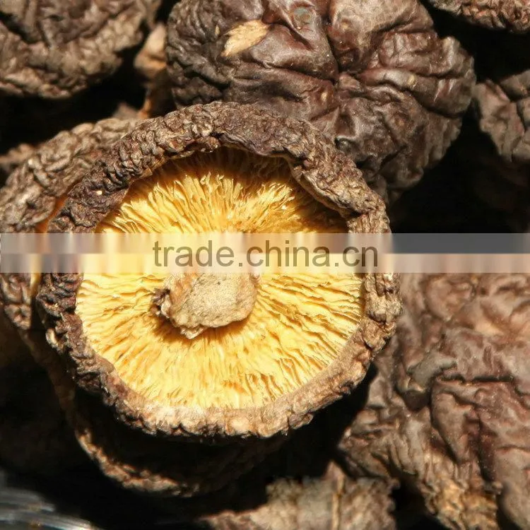 dried mushroom,dried smooth mushroom,dried brown smooth mushroom 02