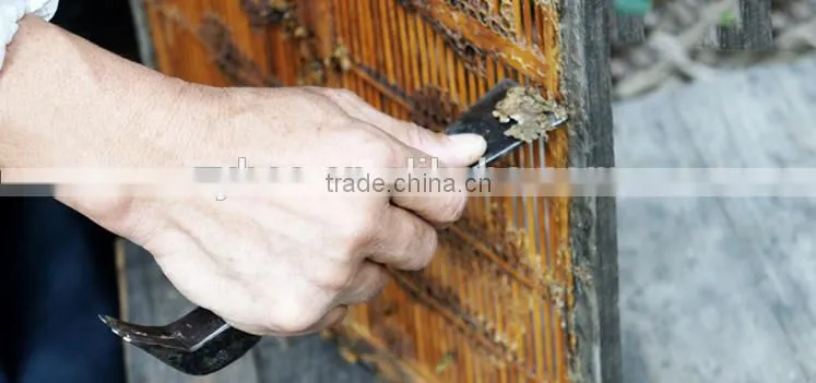Pure extract bee propolis powder