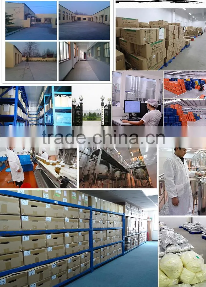 cheap price queen cage best quality queen catcher for beekeeping in bulk with high quality