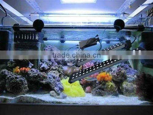 freshwater led coral reef aquarium light