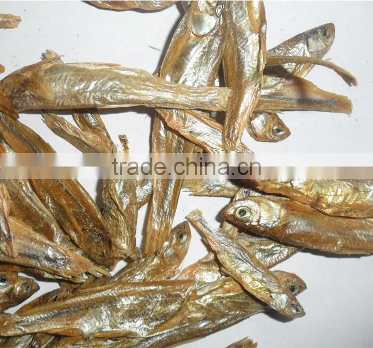High nutrition types of dried fish dry cat food