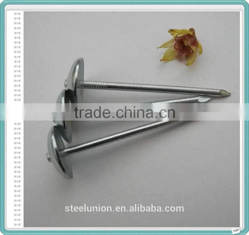 Galvanized Umbrella Head Roofing Nails/Roofing Nails Umbrella Head