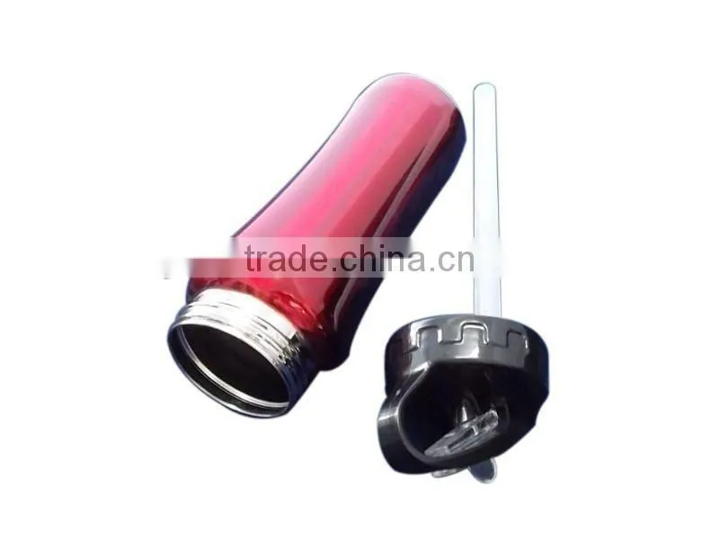 stainless steel water bottle (with straw)