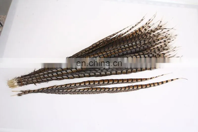 best quality 30-40cm pheasant feather