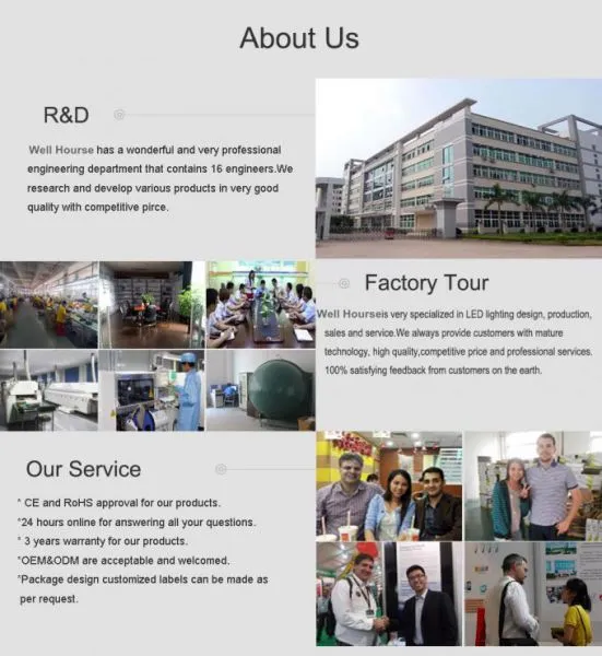 Well House Lighting Co.,Ltd company overview - view 1