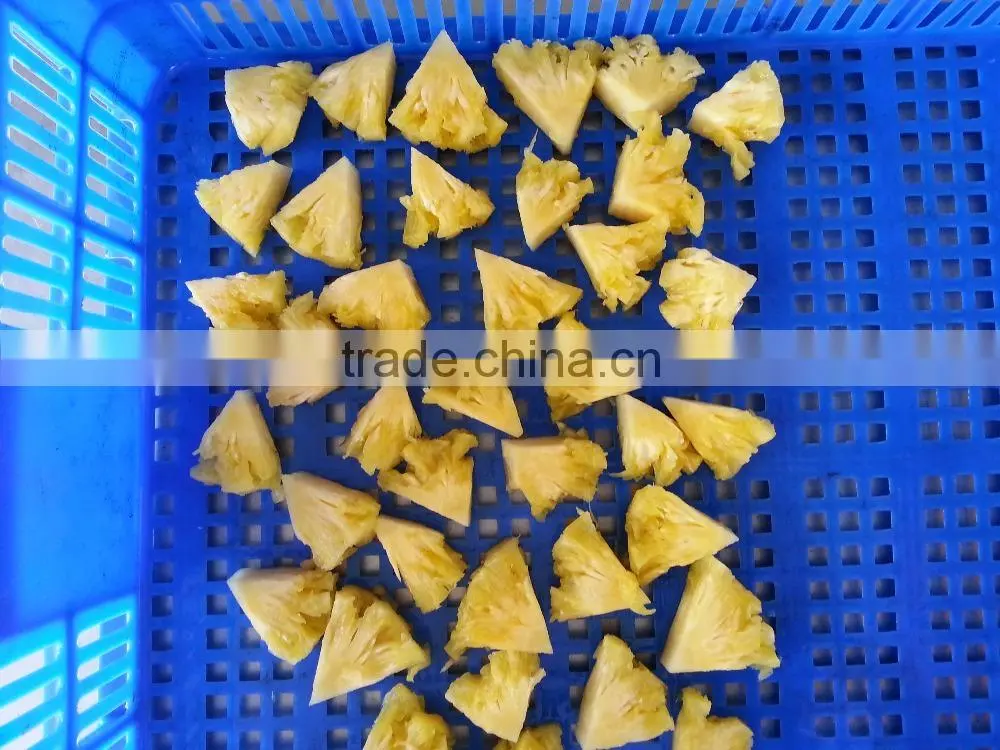 Frozen Pineapple Sliced from Vietnam