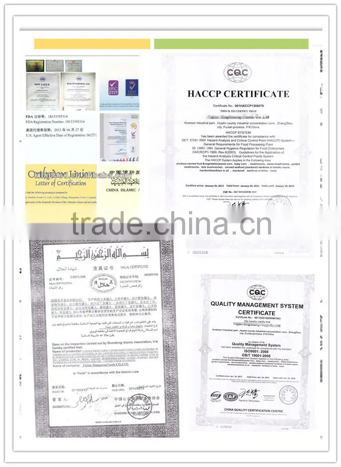 Best Quality of Newly Can of Tomato Paste with Wholesale Price