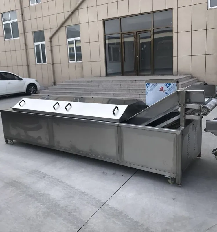 Vegetable Washing Cleaning and Rushing Machine