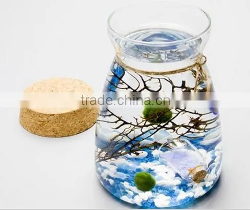 Terrarium glass vase container pots for home wedding decor