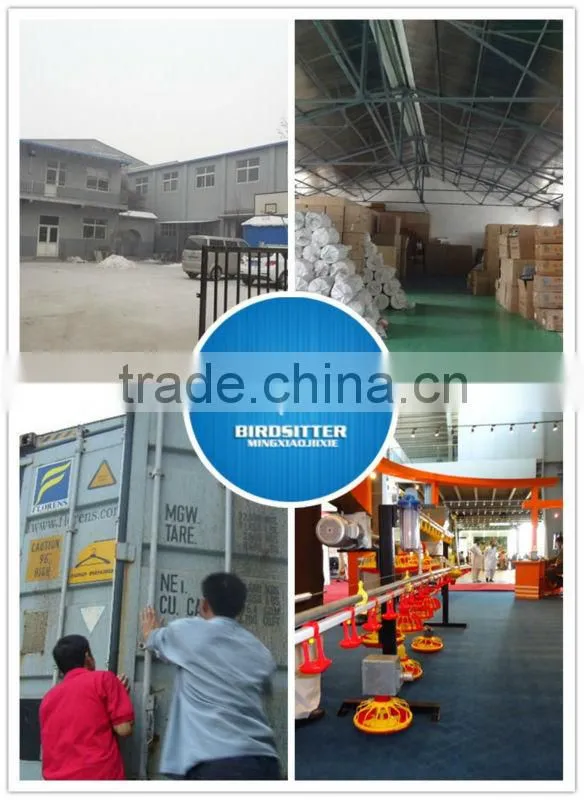 ISO9001 qualifed birdsitter automatic chicken house poultry farming system