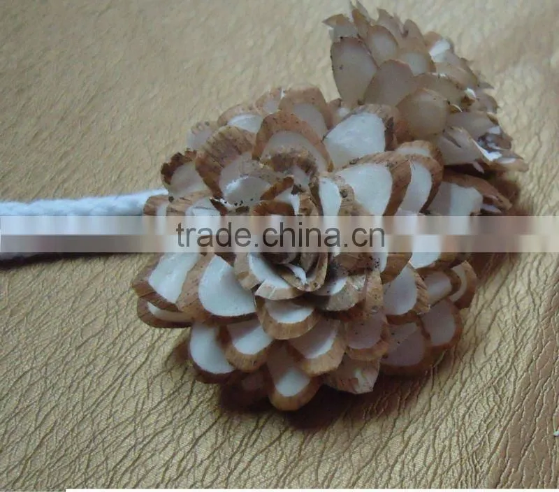 Sola chilka rose flowers
