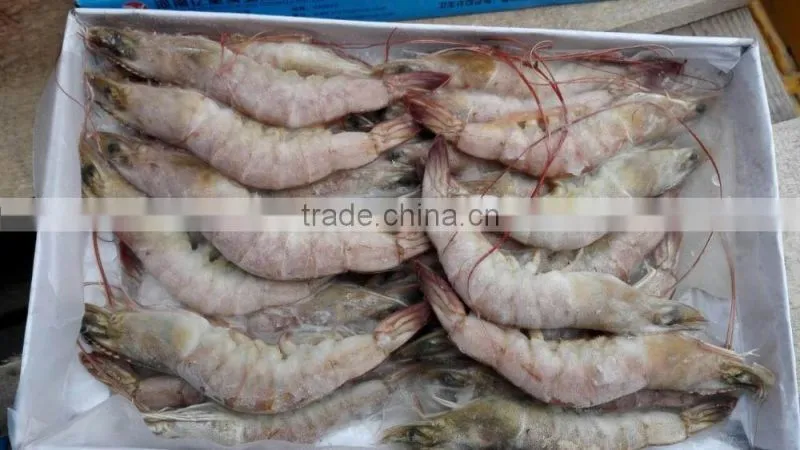 sea frozen vannamei white shrimp