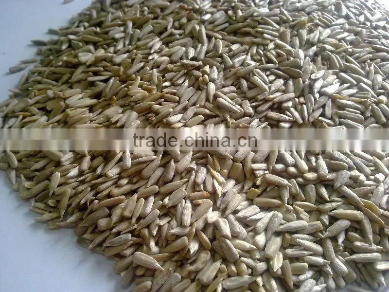 Sunflower seed kernels