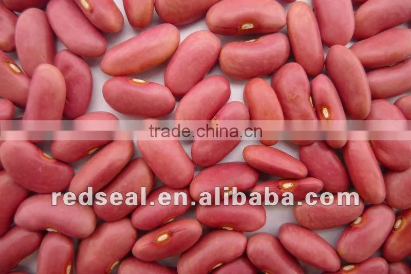 Organic pink kidney beans 2016