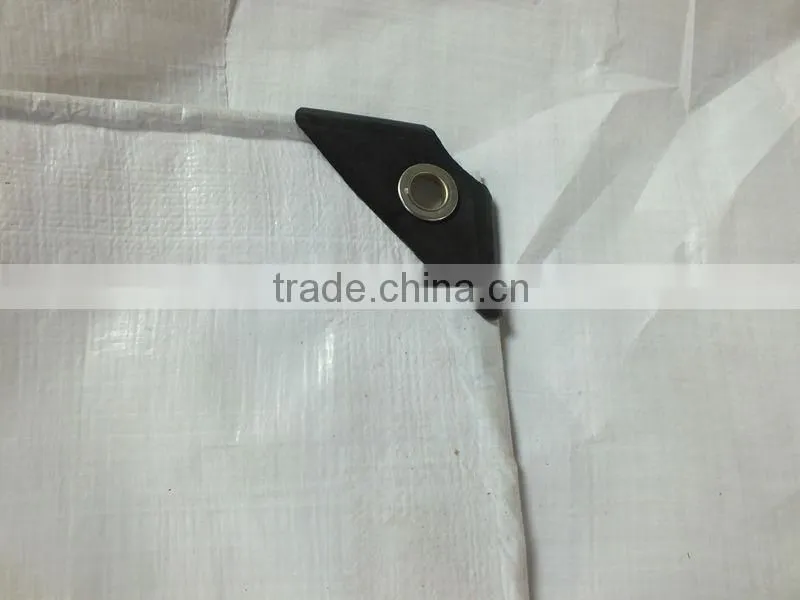 Newest pe tarpaulins white waterproof plastic tarp