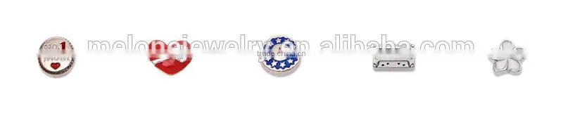 Wholesale The Snow Queen Floating Charms Fit Living Floating Charms Locket