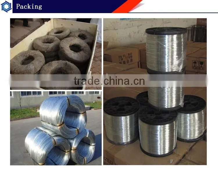 polished common building wire nails