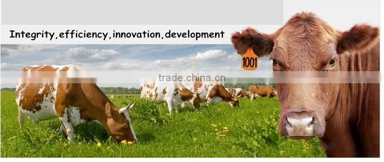 Hot selling rfid animal ear tag with low price