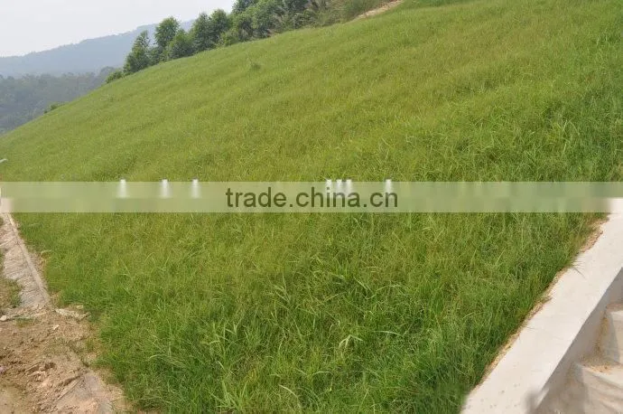 2015 new condition Hydroseeding Machines price